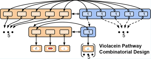 Specifying Combinatorial Designs with the Synthetic Biology Open Language (SBOL)