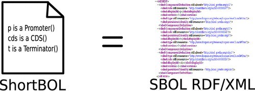 ShortBOL: A Language for Scripting Designs for Engineered Biological Systems Using Synthetic Biology Open Language (SBOL)
