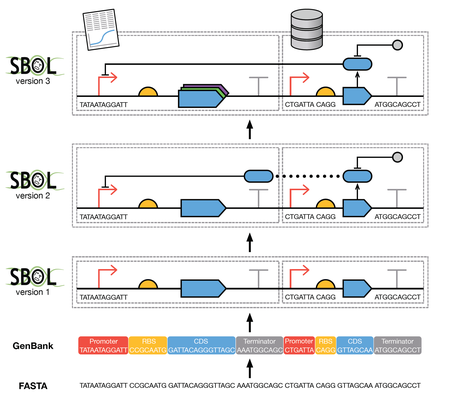 Synthetic biology open language (SBOL) version 3.0.0