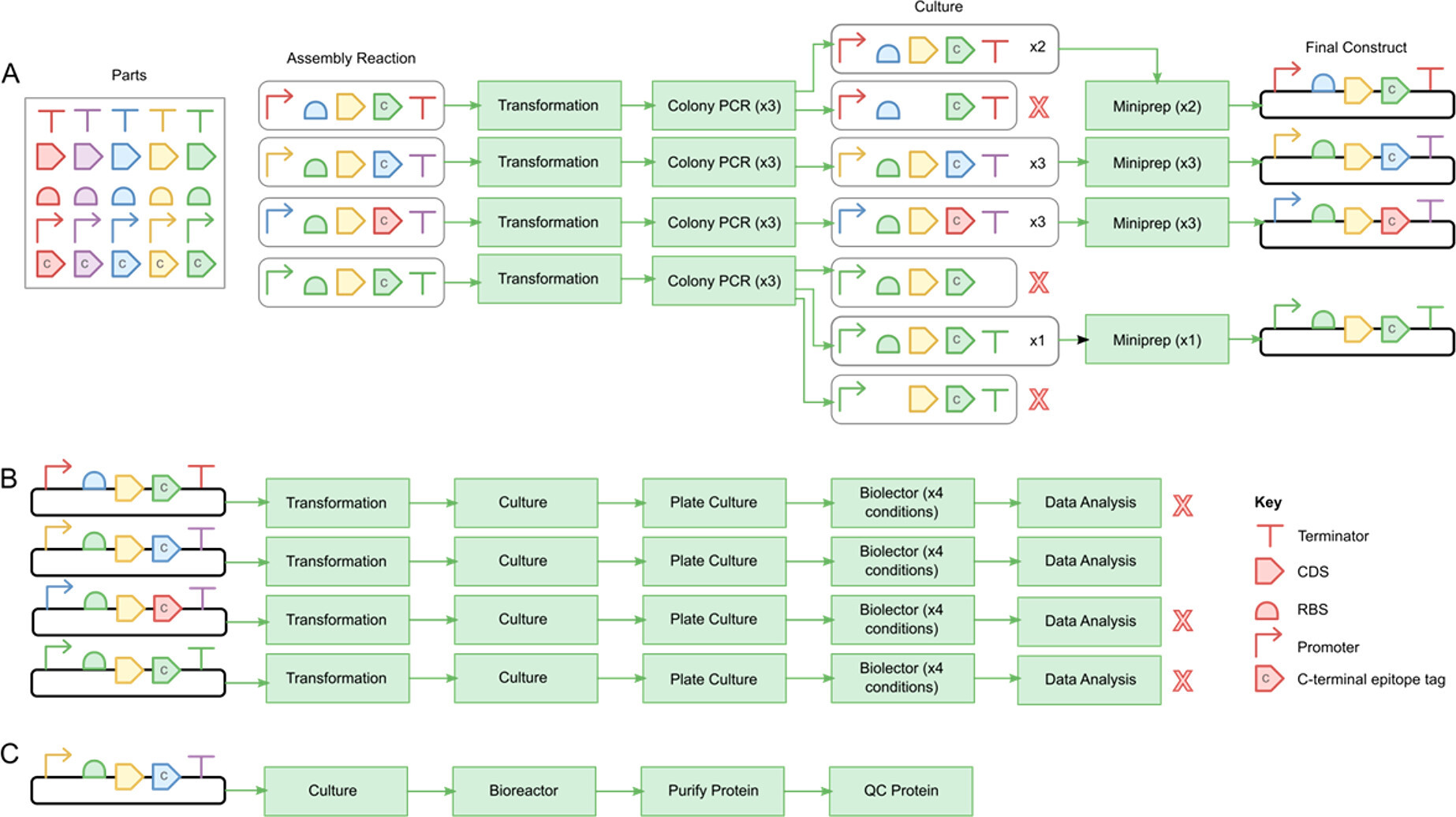 Leaf LIMS: a flexible laboratory information management system with a synthetic biology focus